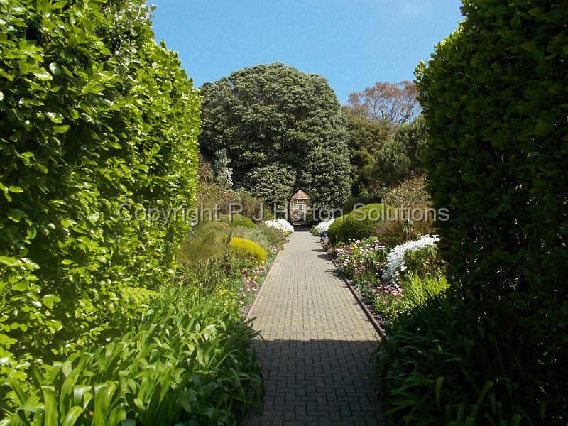 Tresco Abbey - P